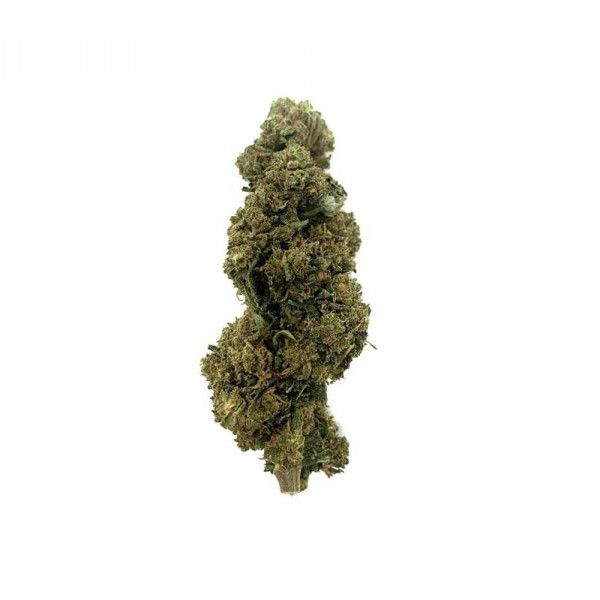 Fleur de cbd Amnesia  - 1