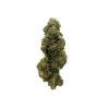 Fleur de cbd Amnesia  - 1
