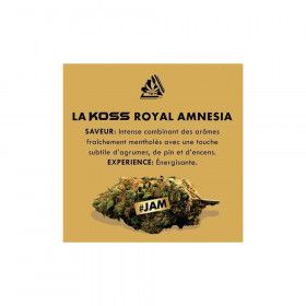 Fleur de cbd Amnésia Lord Kossity