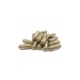 Gélule THCV & champignons énergie | FUNGO, NOVALOA