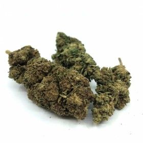 Fleur de CBD Purple Haze  - 2