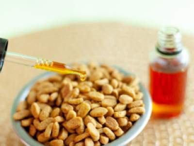 Le cbd est il éfficace pour traiter les probleme de comportement chez les chiens